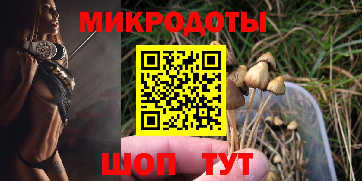 Сердобск  Галлюциногенные грибы прущие грибы  Вход с VPN  Псилоцибиновые грибы ЛСД 
